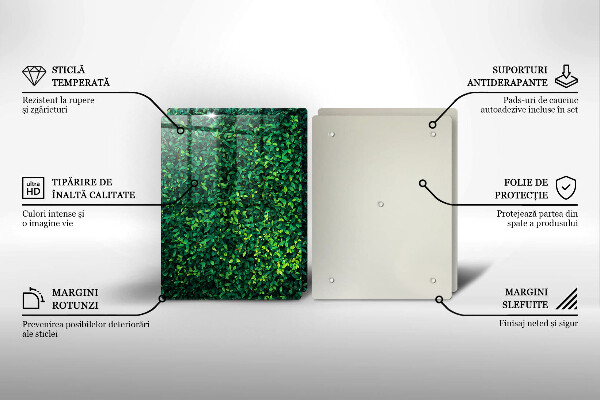 Skleněná krájecí deska Rostlina s malými listy