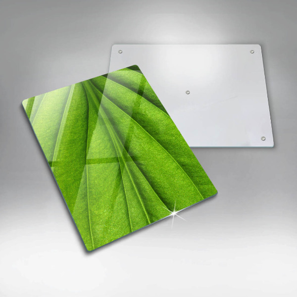 Skleněná deska do kuchyně Přírodní žilní list