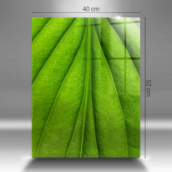 Skleněná deska do kuchyně Přírodní žilní list