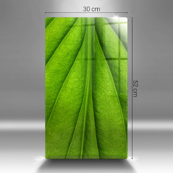 Skleněná deska do kuchyně Přírodní žilní list