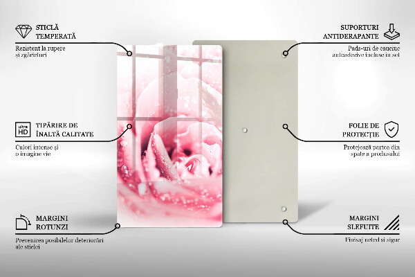 Skleněná deska do kuchyně Kapky rosy a květ růže