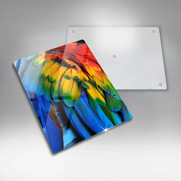 Skleněná deska do kuchyně Barevné papouščí peří