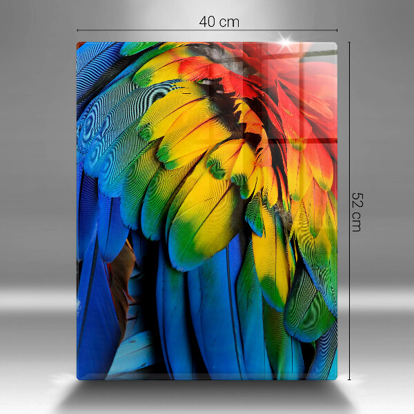 Skleněná deska do kuchyně Barevné papouščí peří