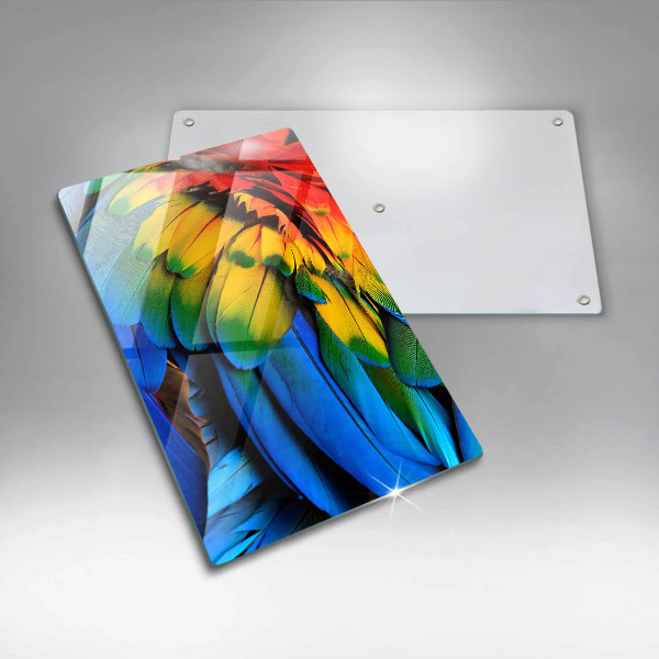 Skleněná deska do kuchyně Barevné papouščí peří