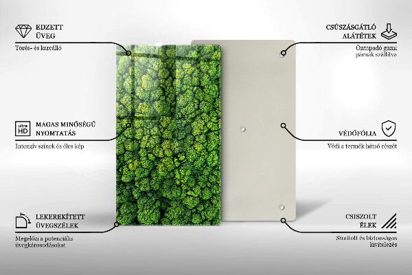 Skleněná deska do kuchyně Přírodní mechová rostlina
