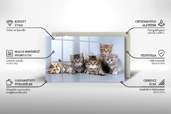 Skleněná deska do kuchyně Sladká koťátka