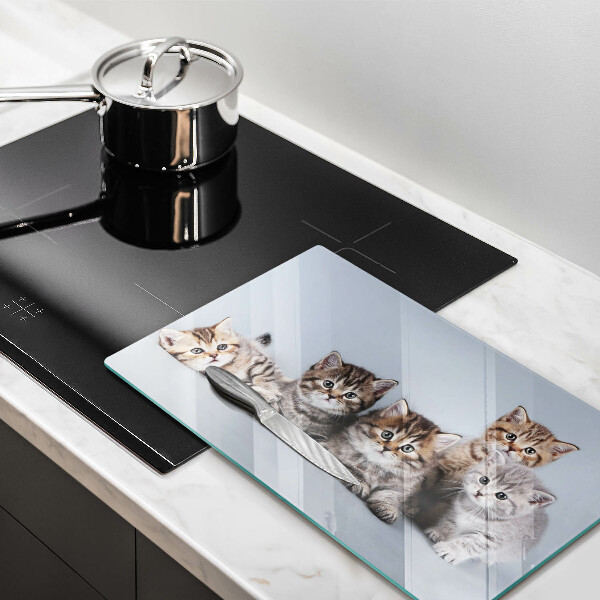 Skleněná deska do kuchyně Sladká koťátka