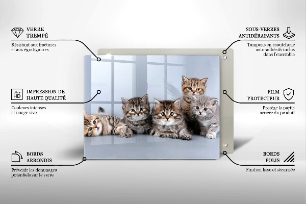 Skleněná deska do kuchyně Sladká koťátka