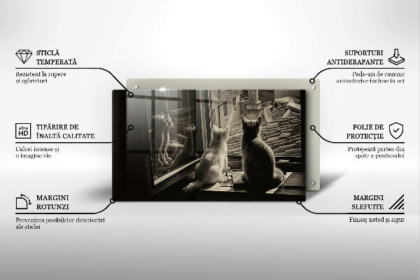 Skleněná deska do kuchyně Kočičí město a okno