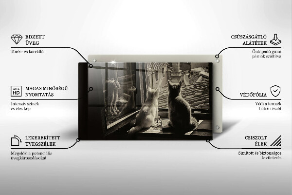 Skleněná deska do kuchyně Kočičí město a okno