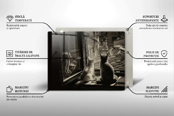 Skleněná deska do kuchyně Kočičí město a okno