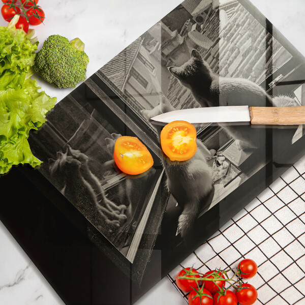 Skleněná deska do kuchyně Kočičí město a okno