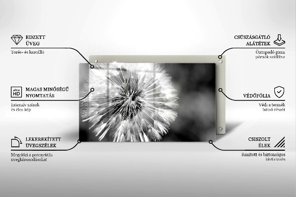Skleněná deska do kuchyně Jemná pampeliška