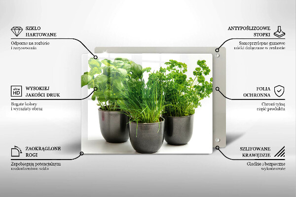 Skleněná deska do kuchyně Hrnce s bylinkami