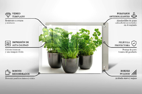 Skleněná deska do kuchyně Hrnce s bylinkami