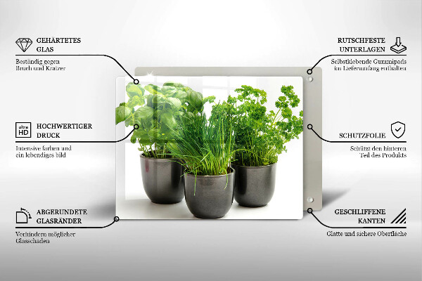 Skleněná deska do kuchyně Hrnce s bylinkami