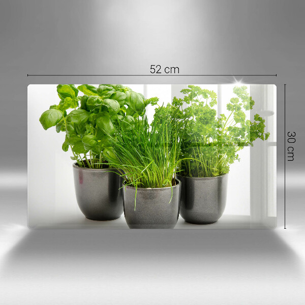 Skleněná deska do kuchyně Hrnce s bylinkami