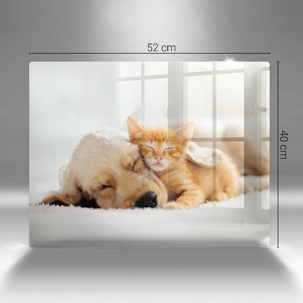 Krájecí prkénko skleněné Zvířata pes a kočka