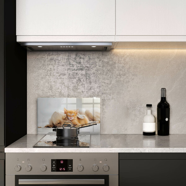 Krájecí prkénko skleněné Zvířata pes a kočka