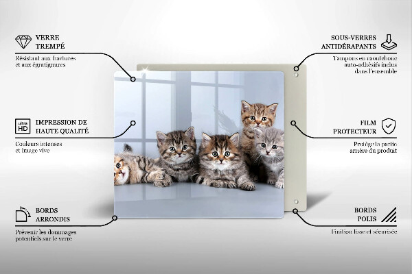 Skleněná krájecí deska Sladká koťátka