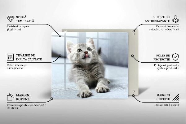 Skleněná krájecí deska Malé roztomilé kotě