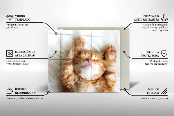 Skleněná krájecí deska Malé roztomilé kotě