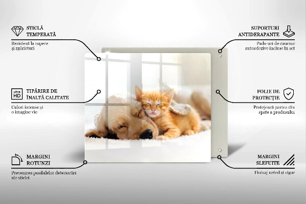 Krájecí prkénko skleněné Zvířata pes a kočka