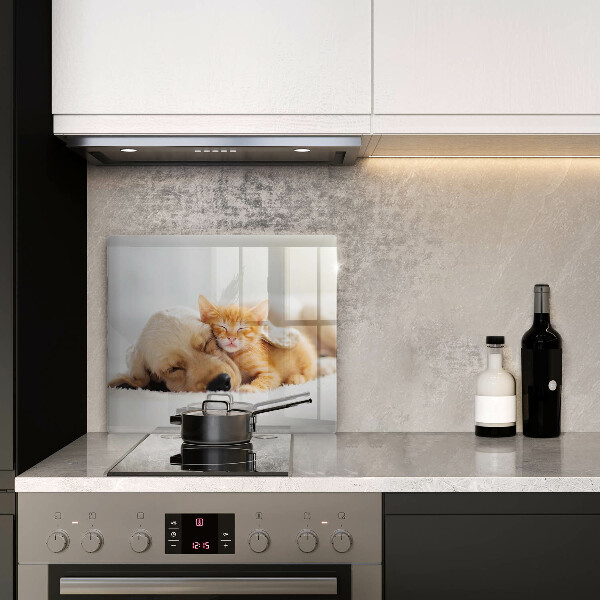 Krájecí prkénko skleněné Zvířata pes a kočka