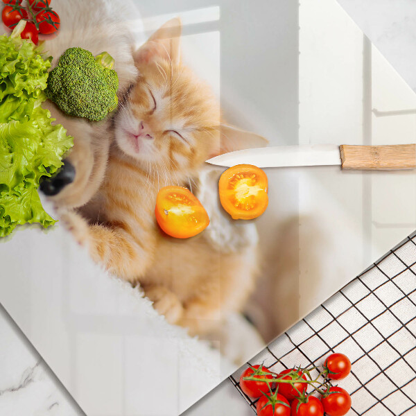 Krájecí prkénko skleněné Zvířata pes a kočka