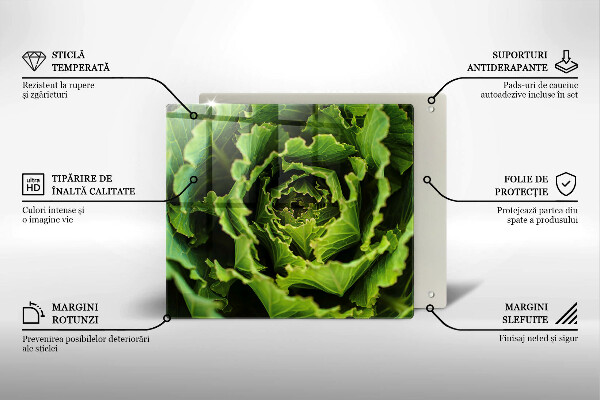 Skleněná krájecí deska Jíst listy salátu
