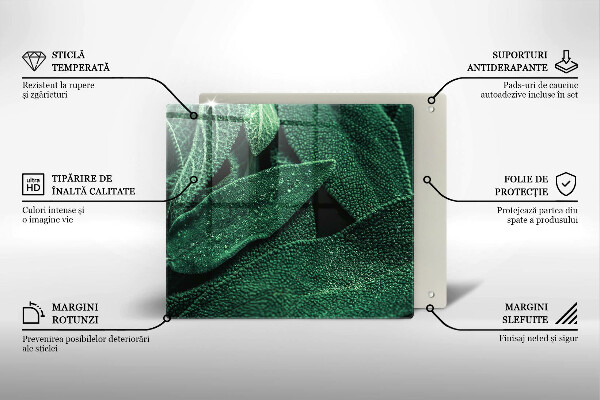 Skleněná krájecí deska Listy rostliny