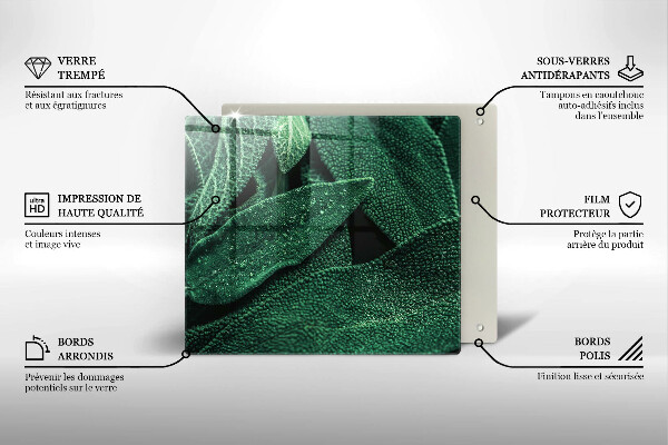 Skleněná krájecí deska Listy rostliny