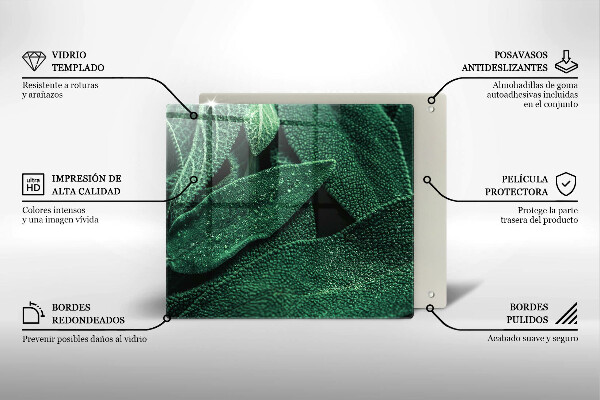 Skleněná krájecí deska Listy rostliny