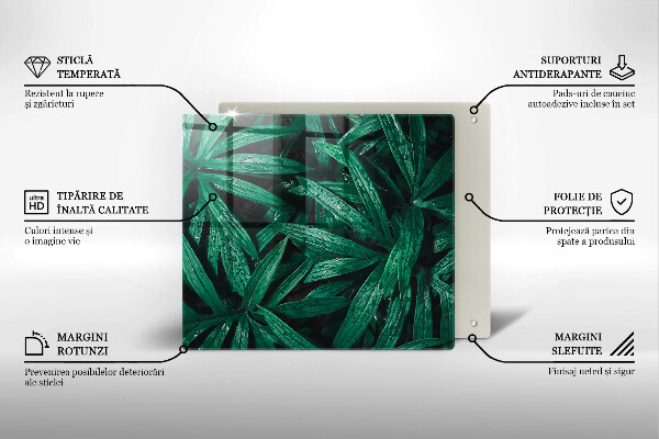 Skleněná deska do kuchyně Listy rostlin