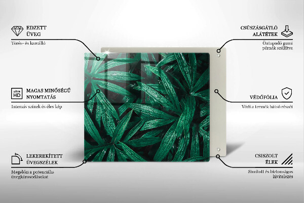 Skleněná deska do kuchyně Listy rostlin