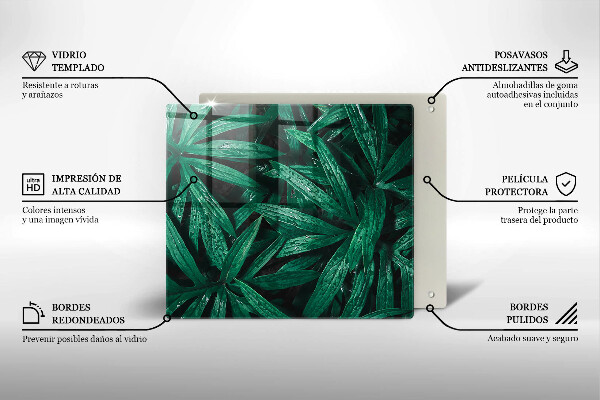 Skleněná deska do kuchyně Listy rostlin