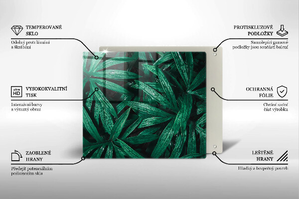 Skleněná deska do kuchyně Listy rostlin