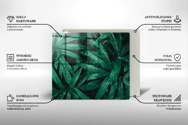 Skleněná deska do kuchyně Listy rostlin