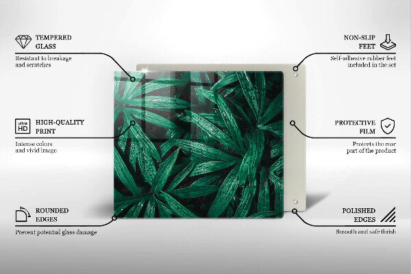 Skleněná deska do kuchyně Listy rostlin