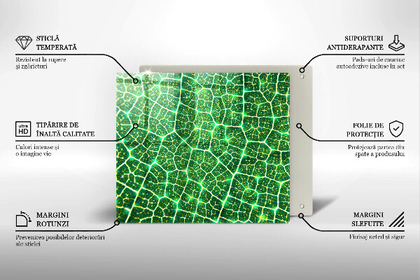 Skleněná deska do kuchyně Struktura listu