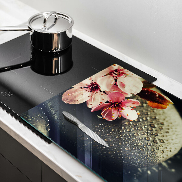 Skleněná deska do kuchyně Květiny zenové kameny