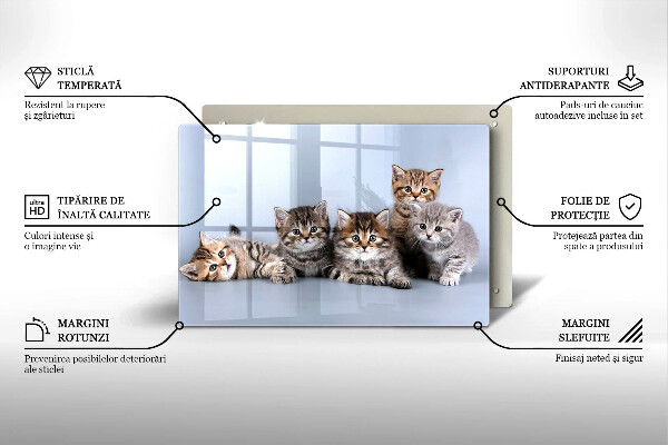 Skleněná deska do kuchyně Sladká koťátka