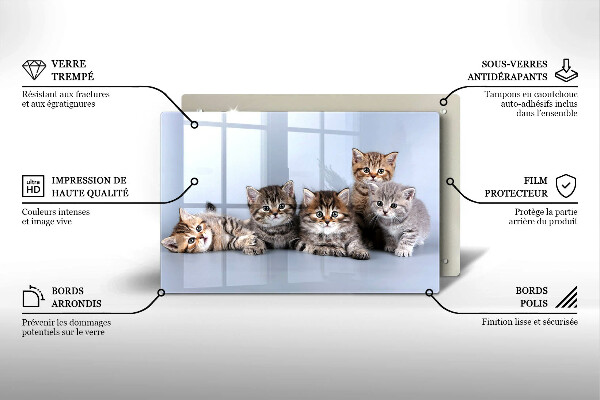 Skleněná deska do kuchyně Sladká koťátka