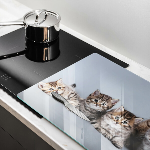Skleněná deska do kuchyně Sladká koťátka