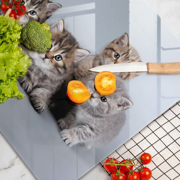 Skleněná deska do kuchyně Sladká koťátka