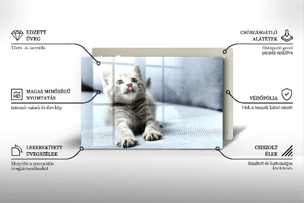 Skleněná deska do kuchyně Malé roztomilé kotě