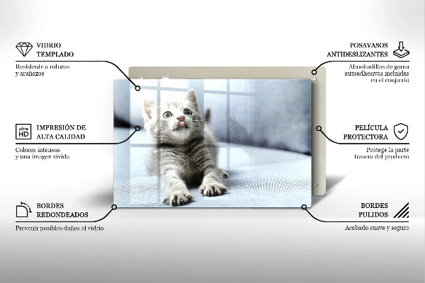 Skleněná deska do kuchyně Malé roztomilé kotě