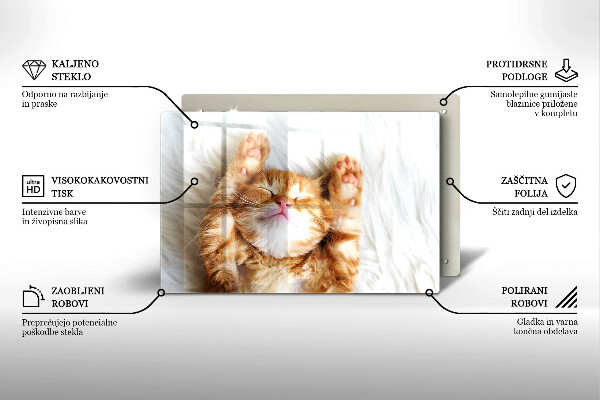 Skleněná deska do kuchyně Malé roztomilé kotě