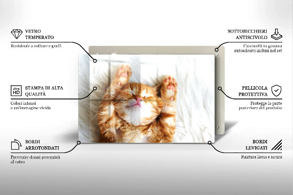 Skleněná deska do kuchyně Malé roztomilé kotě