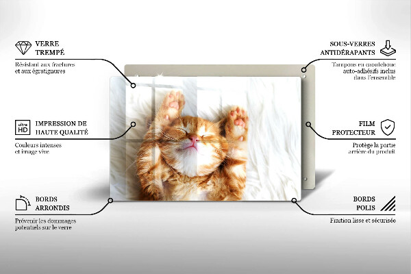 Skleněná deska do kuchyně Malé roztomilé kotě